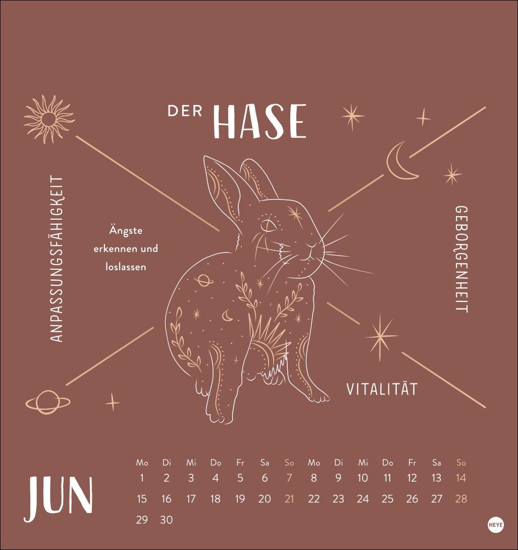 Beispielinhalt (Bild) Krafttiere Postkartenkalender 2026