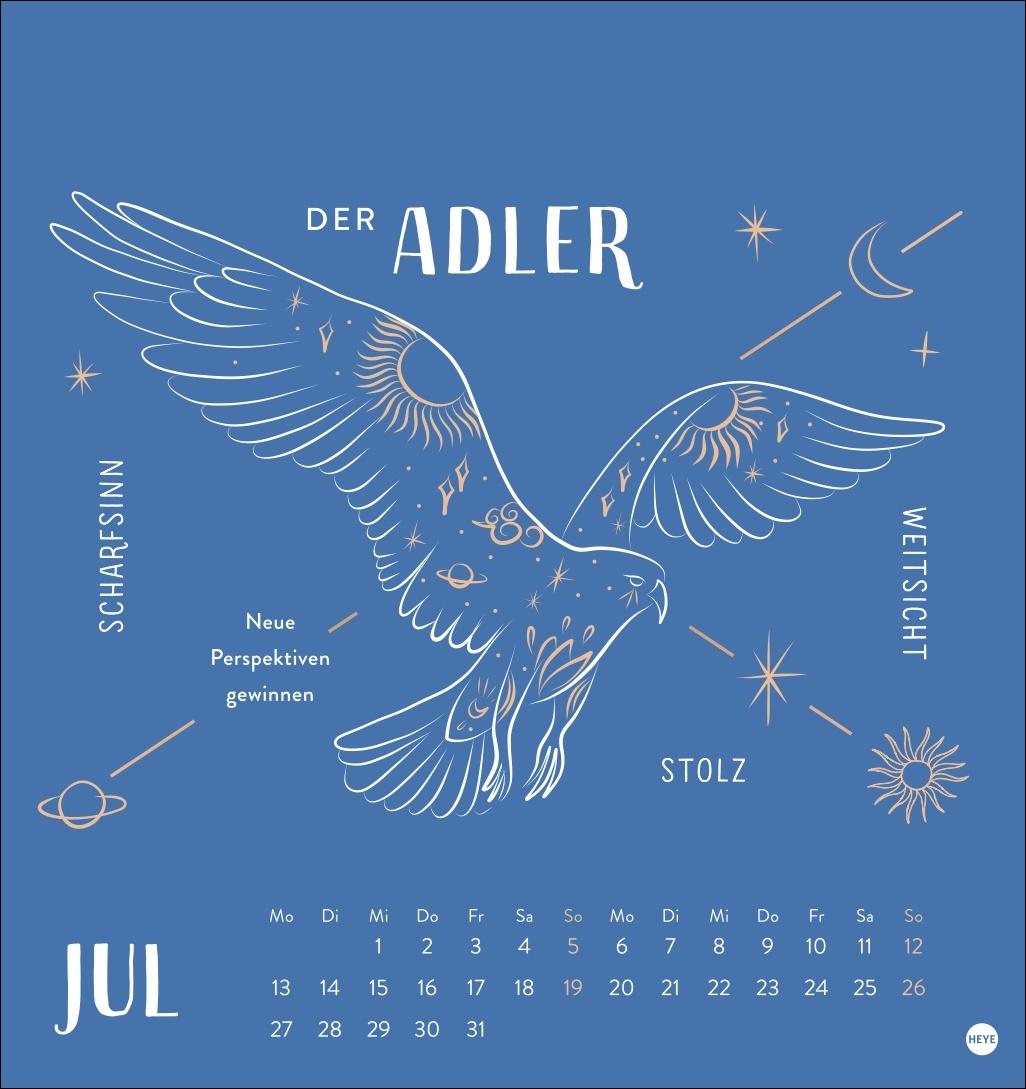 Beispielinhalt (Bild) Krafttiere Postkartenkalender 2026