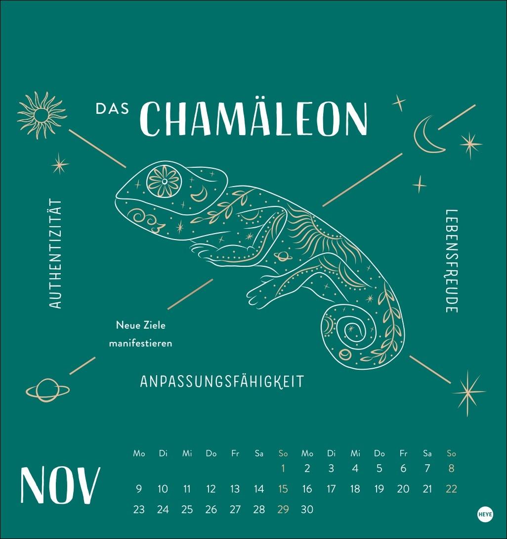 Beispielinhalt (Bild) Krafttiere Postkartenkalender 2026