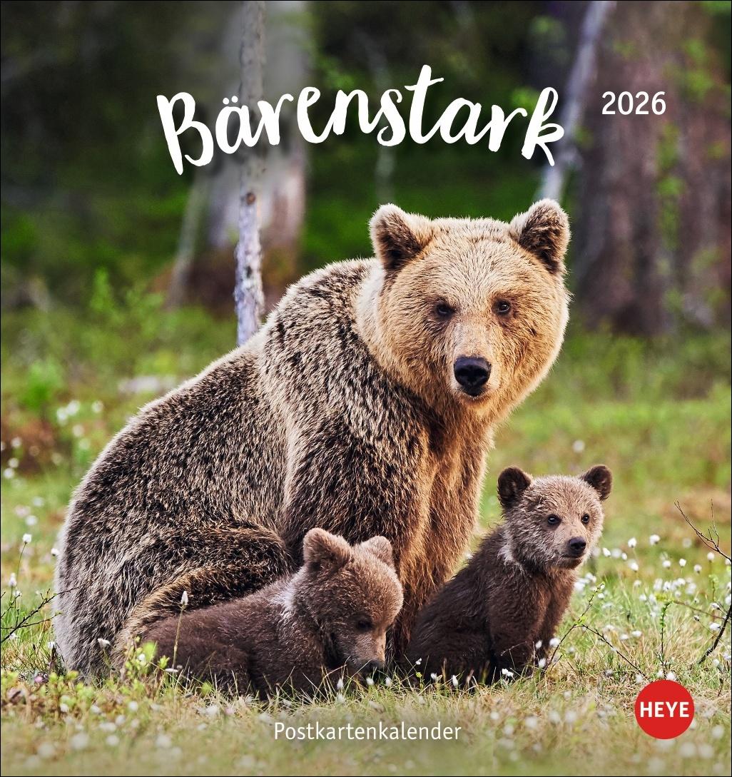 Vorderes Coverbild Bärenstark Postkartenkalender 2026