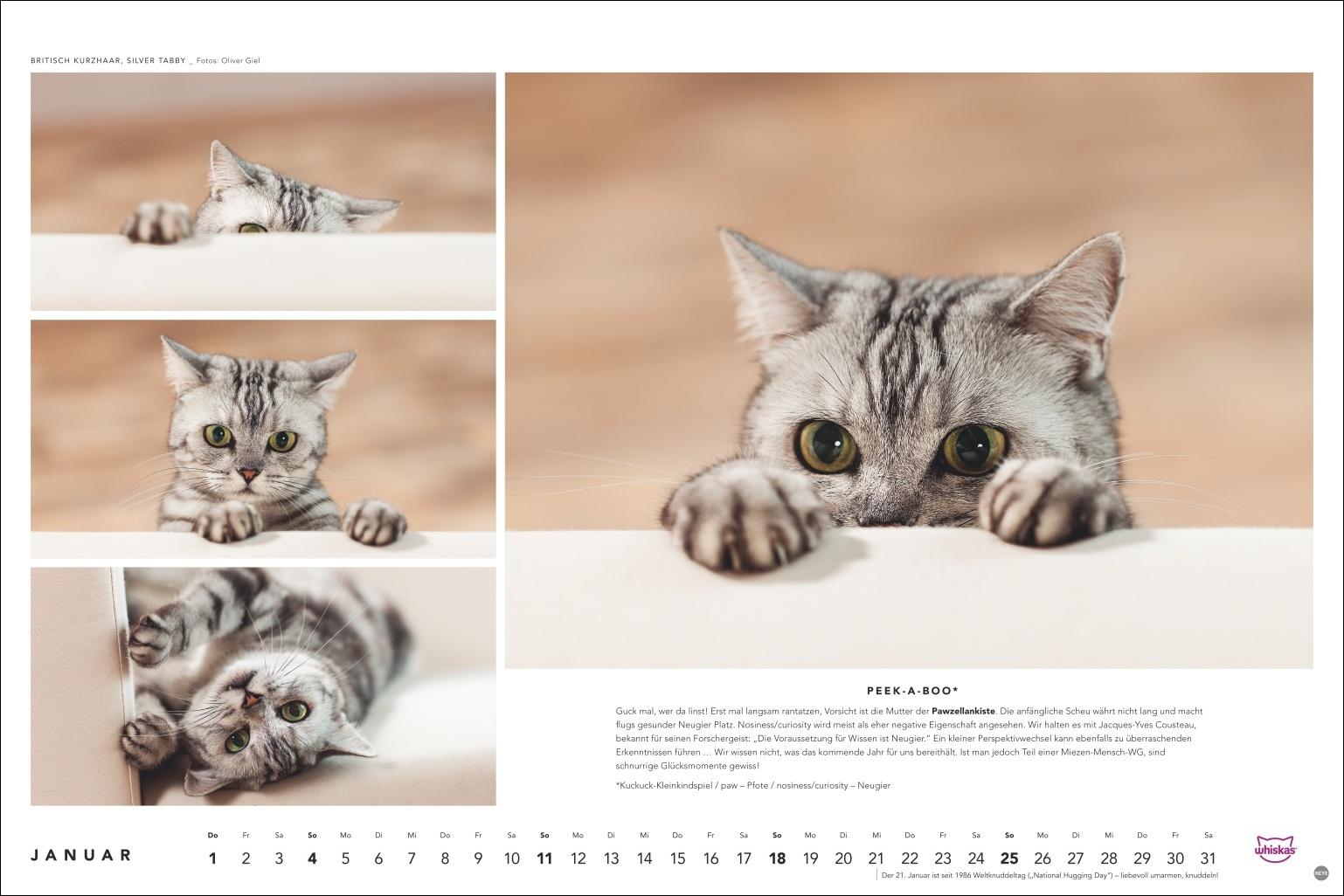 Beispielinhalt (Bild) Whiskas Katzenkalender 2026