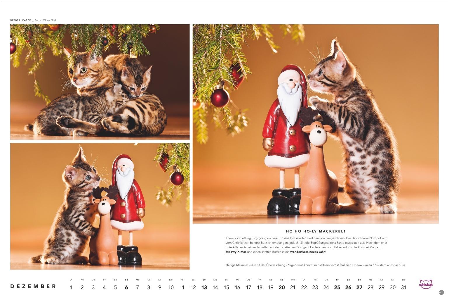 Beispielinhalt (Bild) Whiskas Katzenkalender 2026