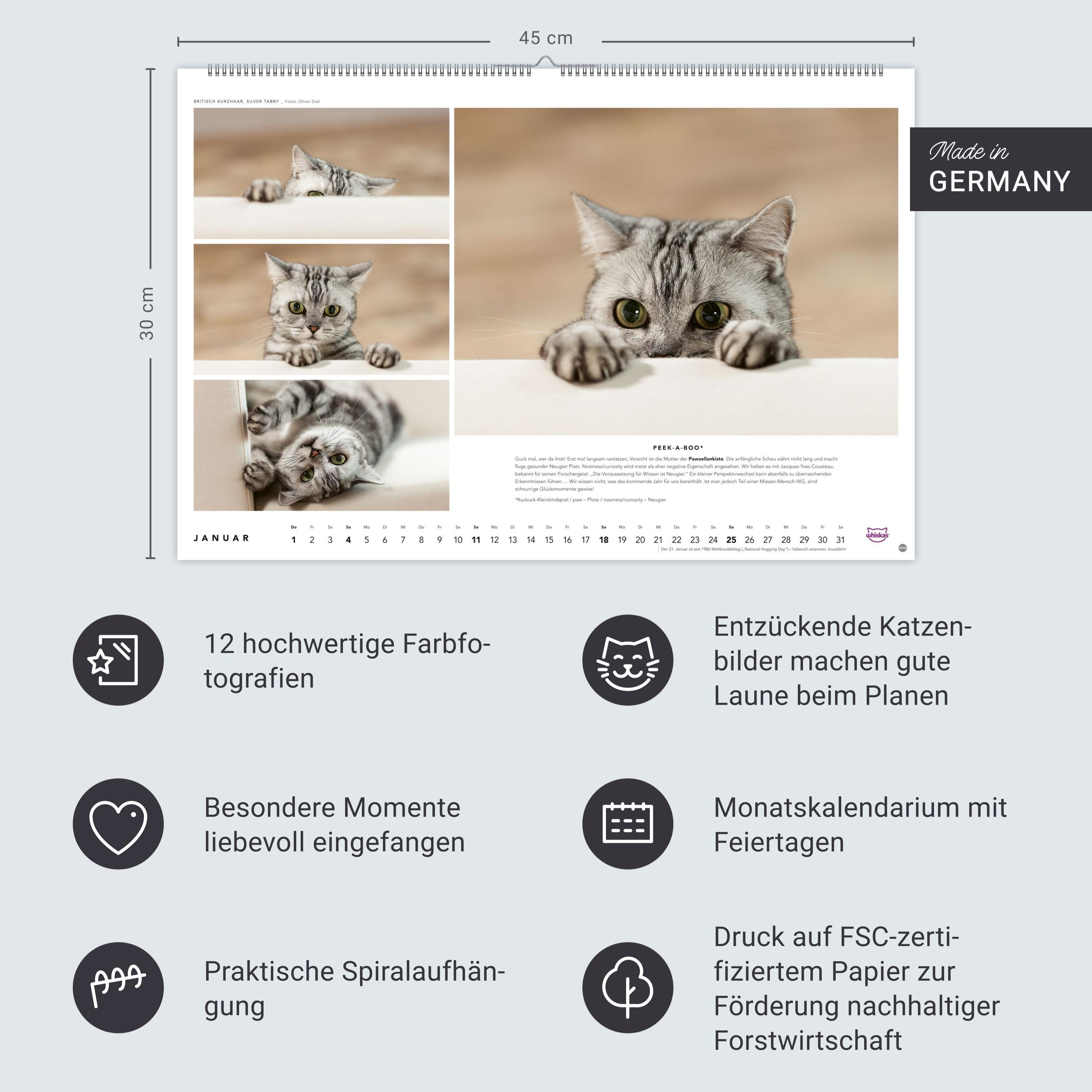 Beispielinhalt (Bild) Whiskas Katzenkalender 2026
