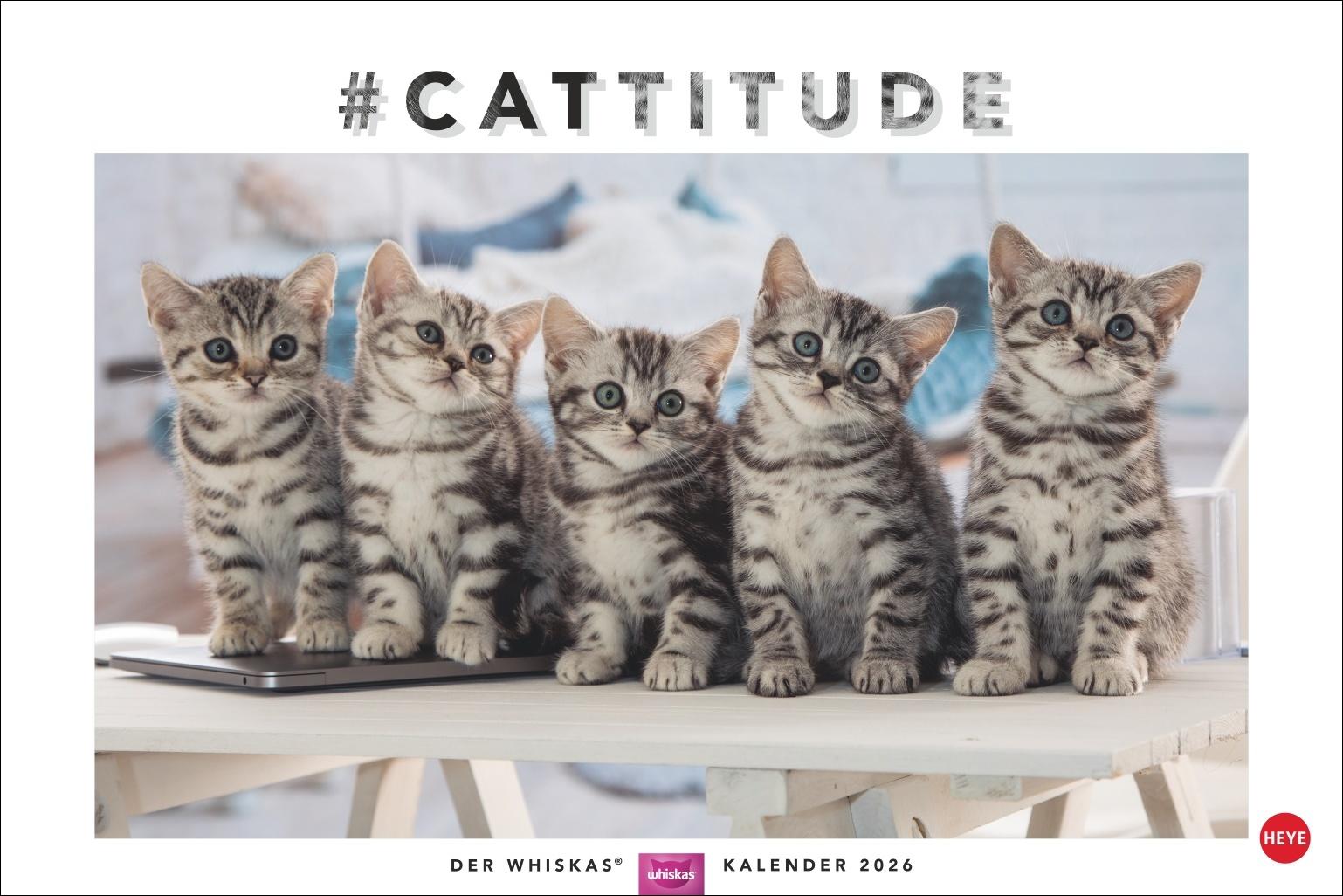 Vorderes Coverbild Whiskas Katzenkalender 2026