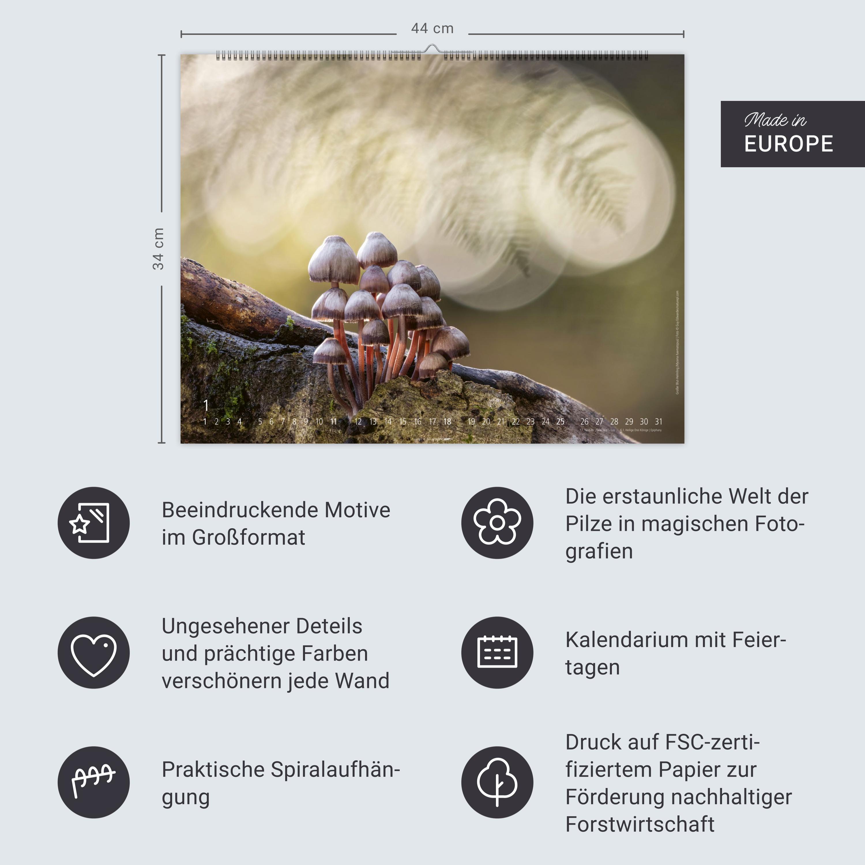 Beispielinhalt (Bild) Wunderwelt der Pilze Kalender 2026
