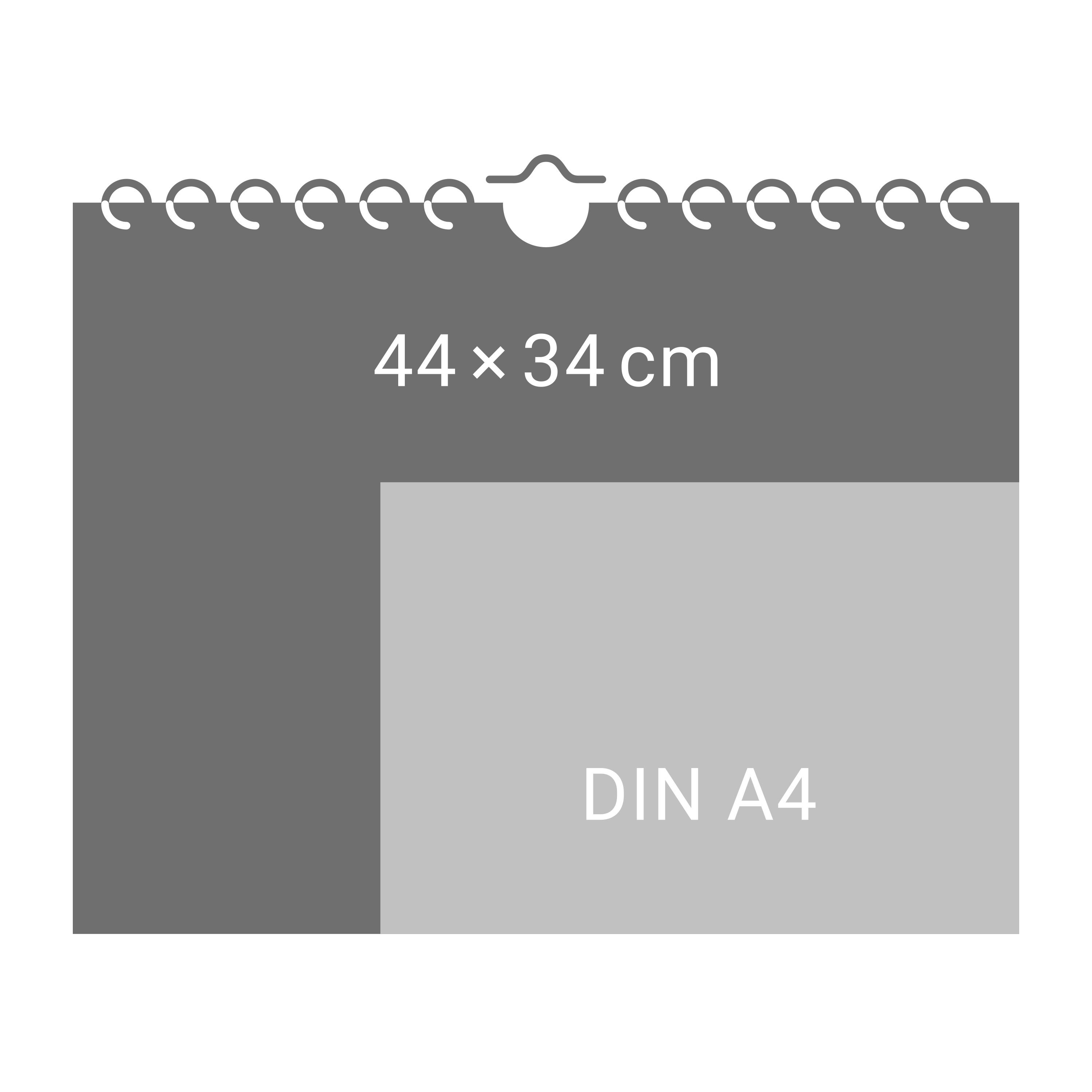 Beispielinhalt (Bild) Wunderwelt der Pilze Kalender 2026