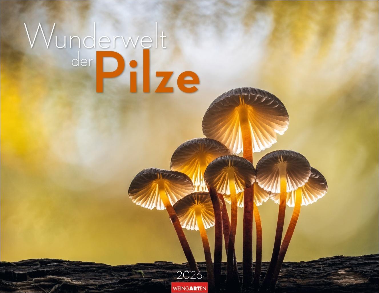 Vorderes Coverbild Wunderwelt der Pilze Kalender 2026