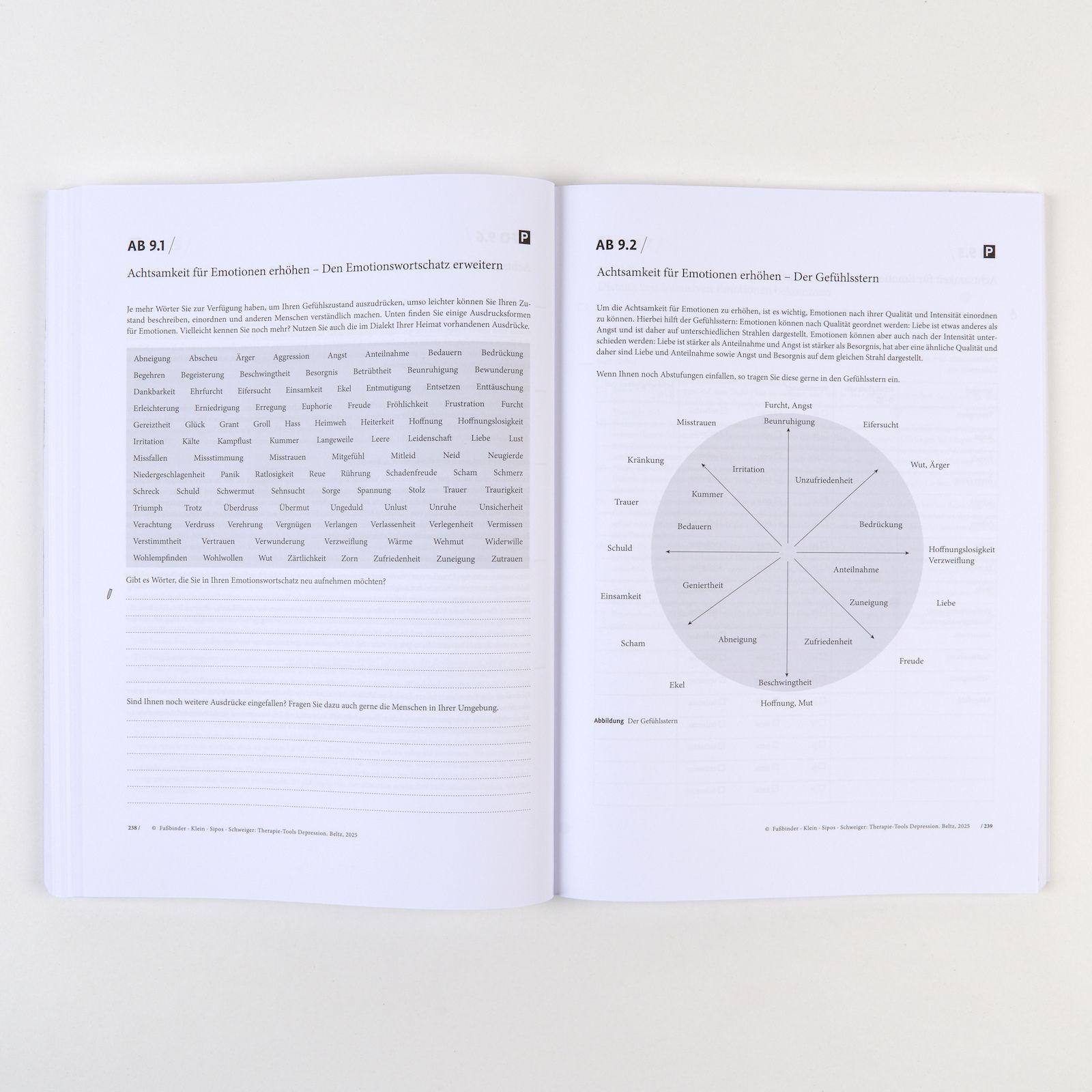 Beispielinhalt (Bild) Therapie-Tools Depression