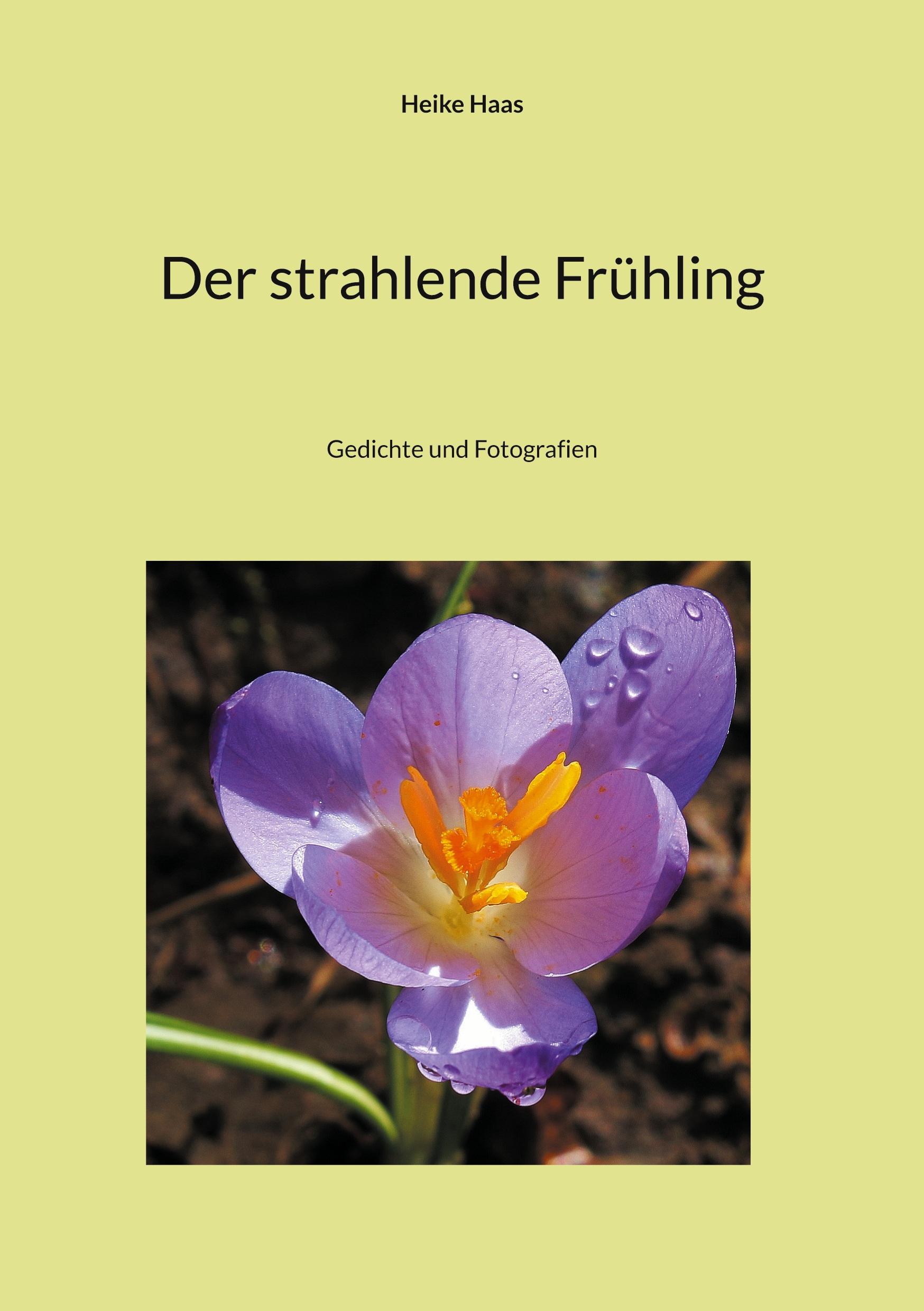 Vorderes Coverbild Der strahlende Frühling
