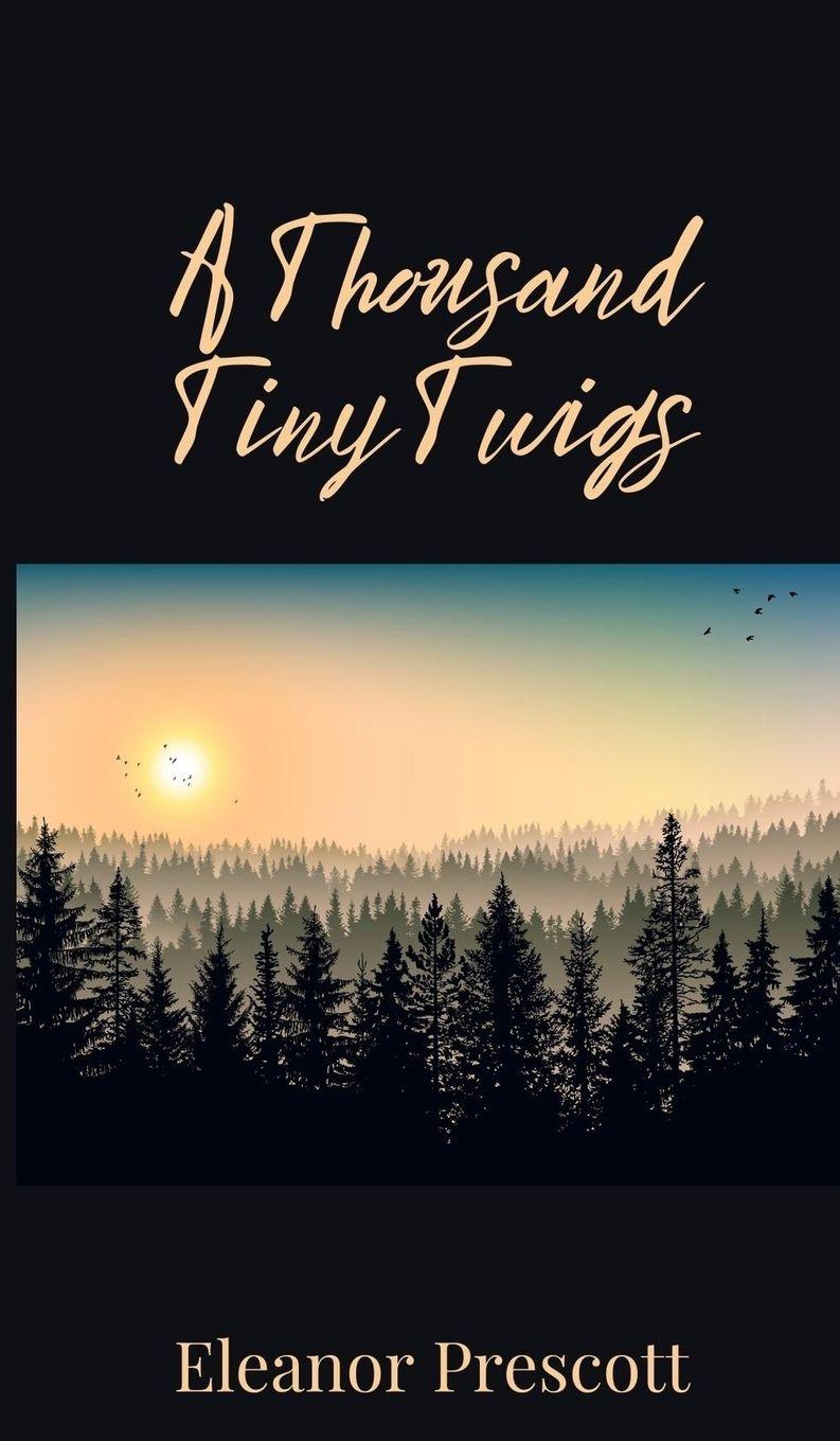 Vorderes Coverbild A Thousand Tiny Twigs