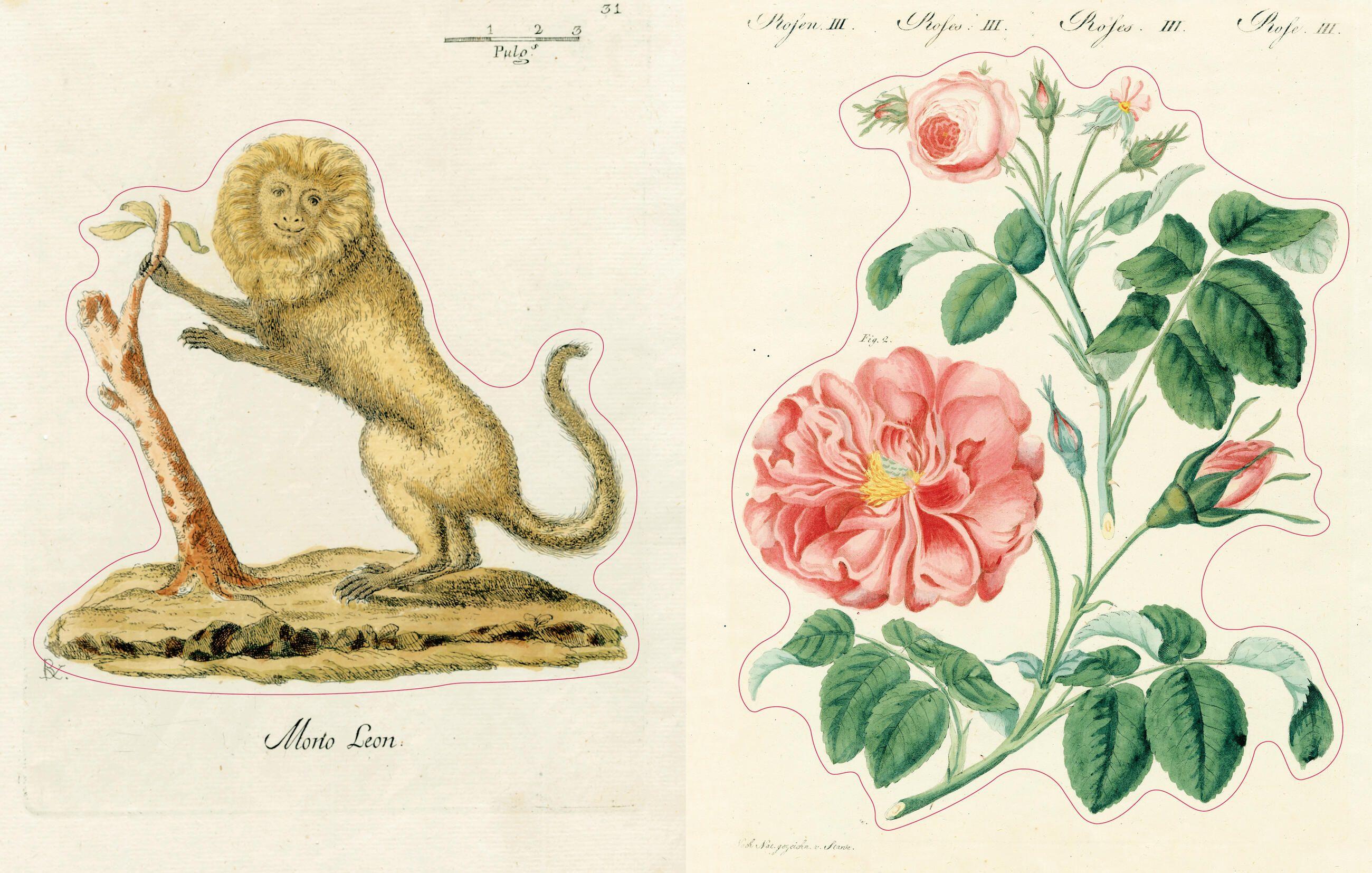 Beispielinhalt (Bild) John Derian Sticker Book II