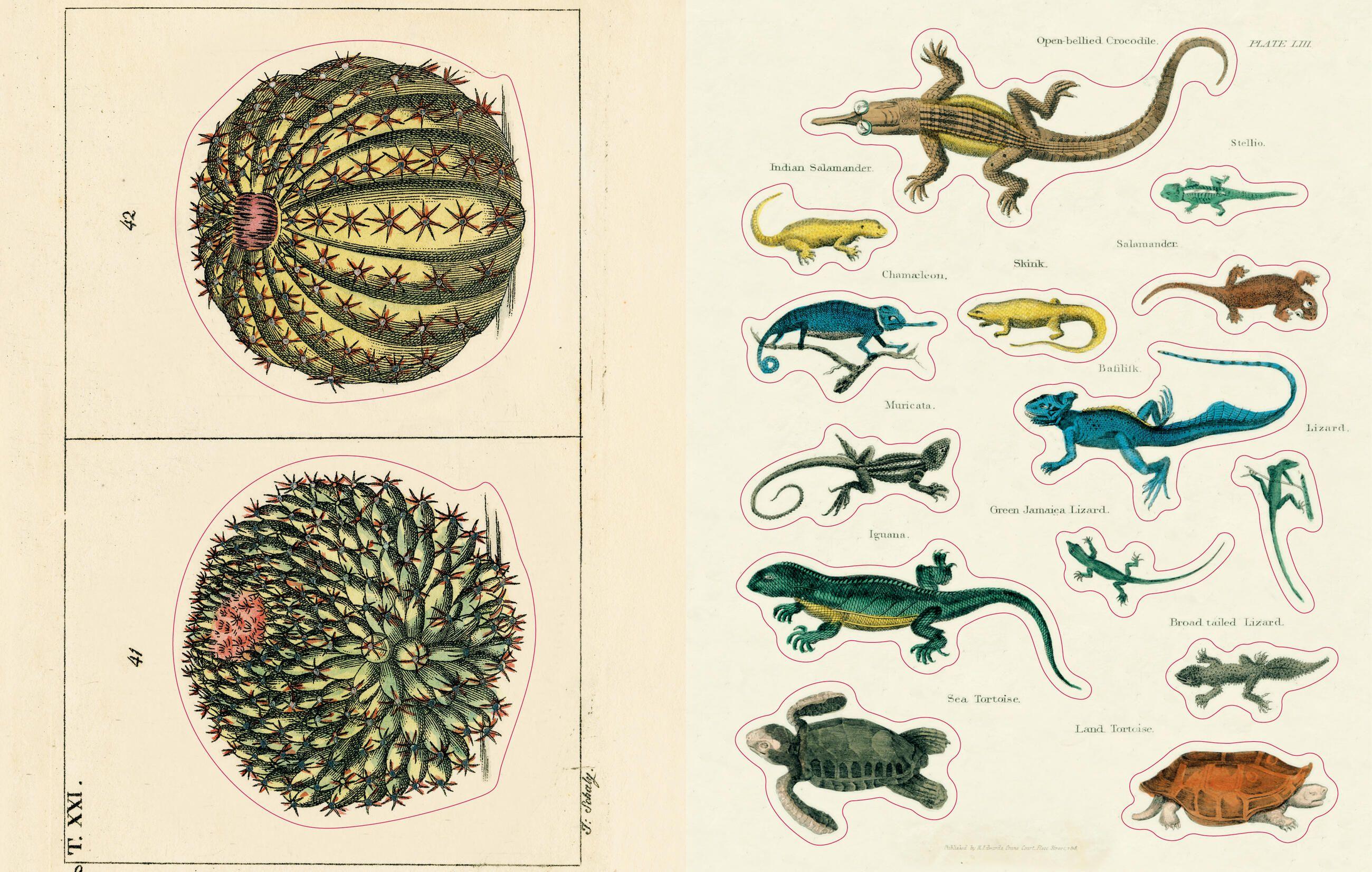 Beispielinhalt (Bild) John Derian Sticker Book II