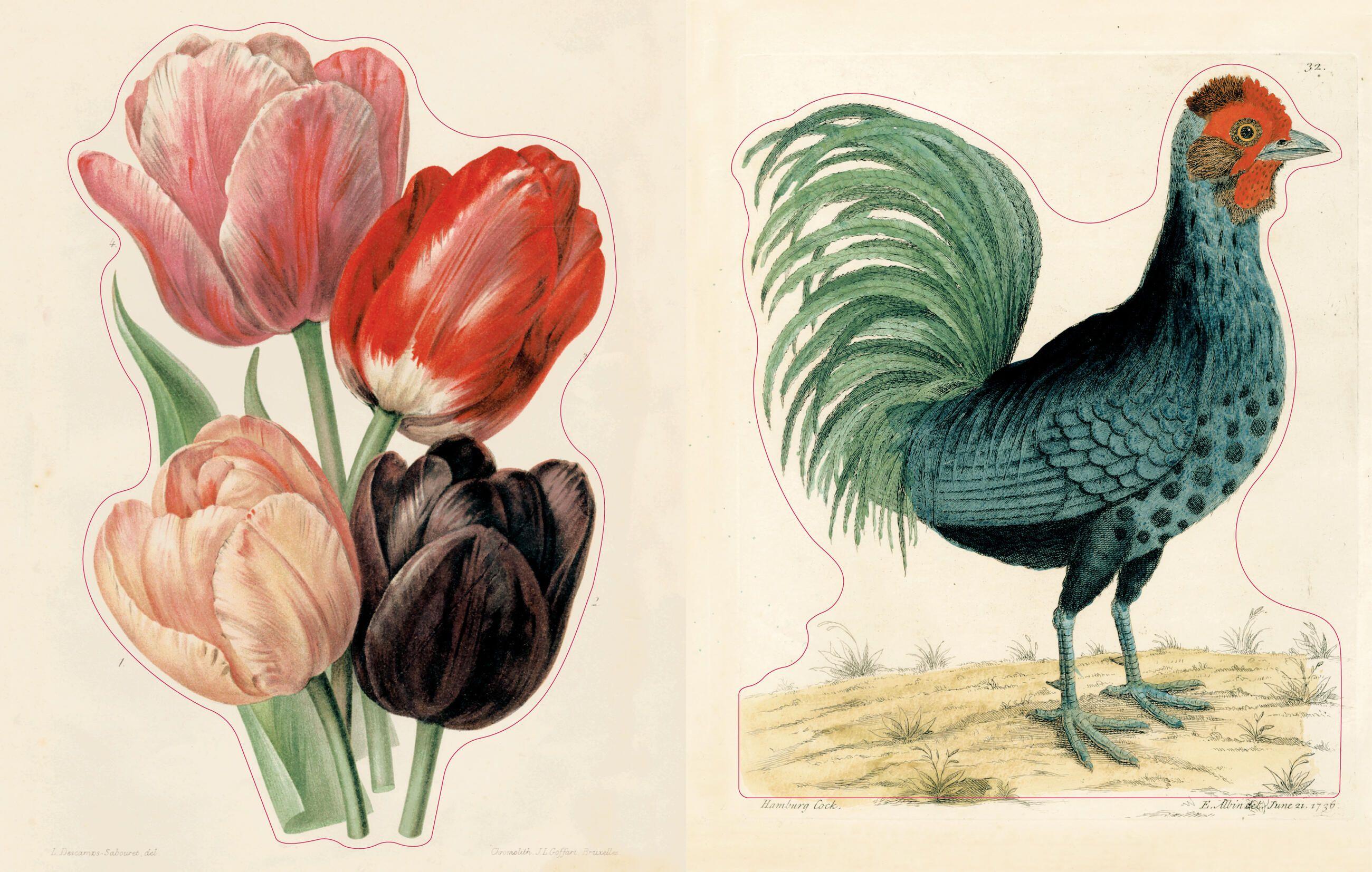 Beispielinhalt (Bild) John Derian Sticker Book II