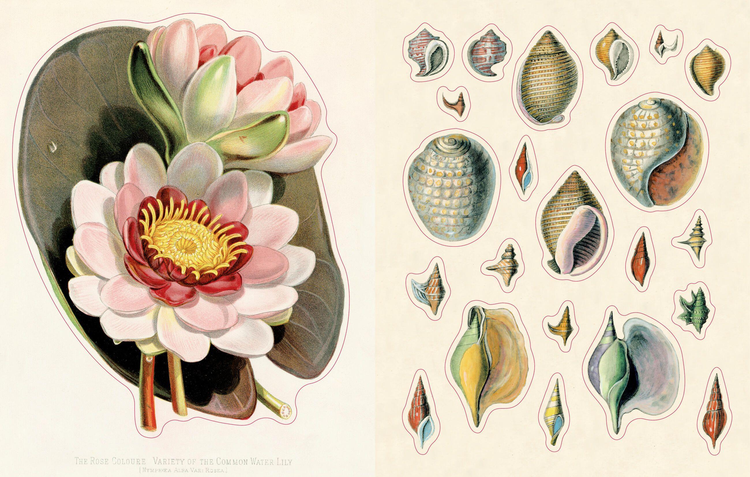 Beispielinhalt (Bild) John Derian Sticker Book II