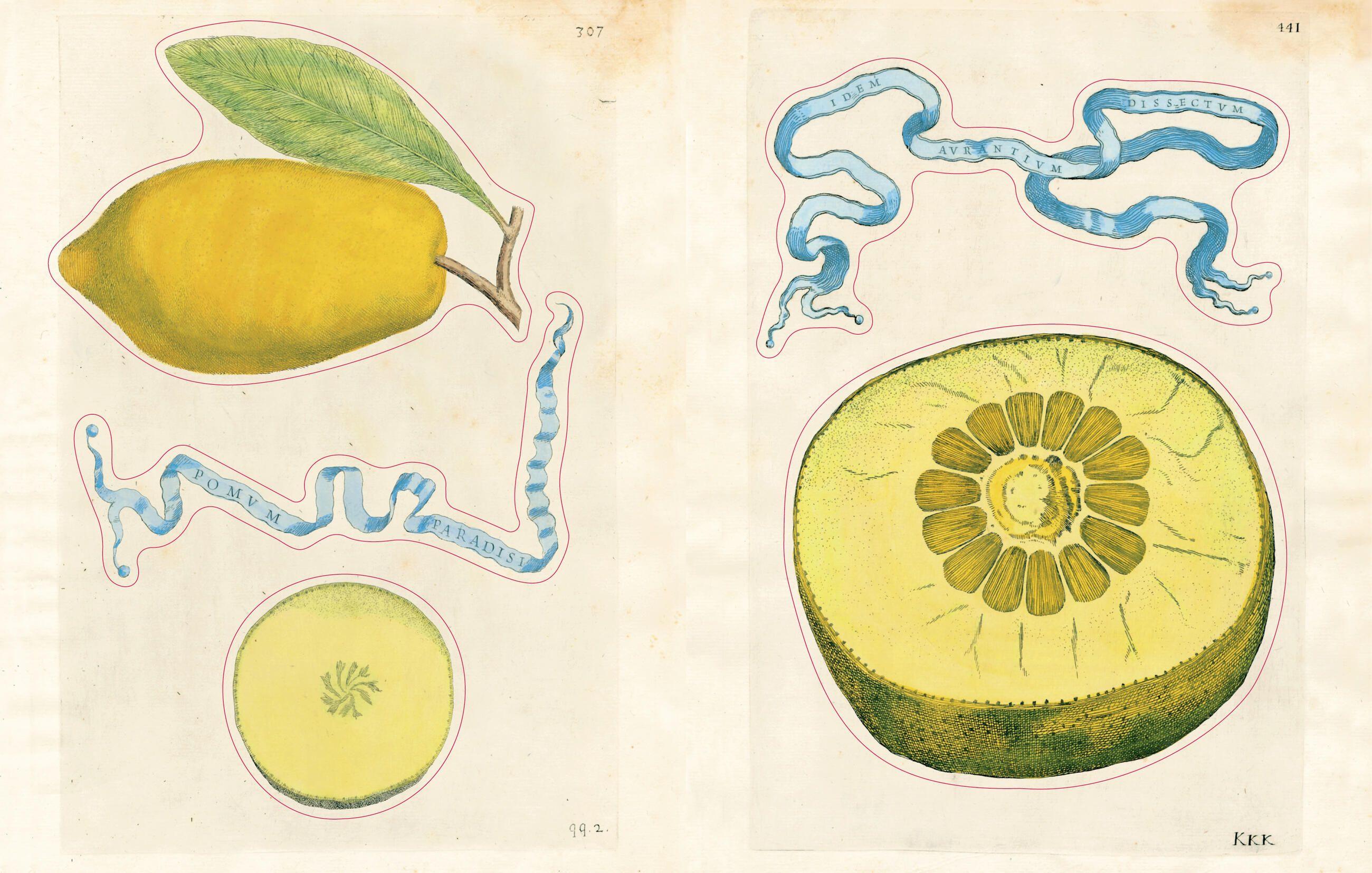 Beispielinhalt (Bild) John Derian Sticker Book II