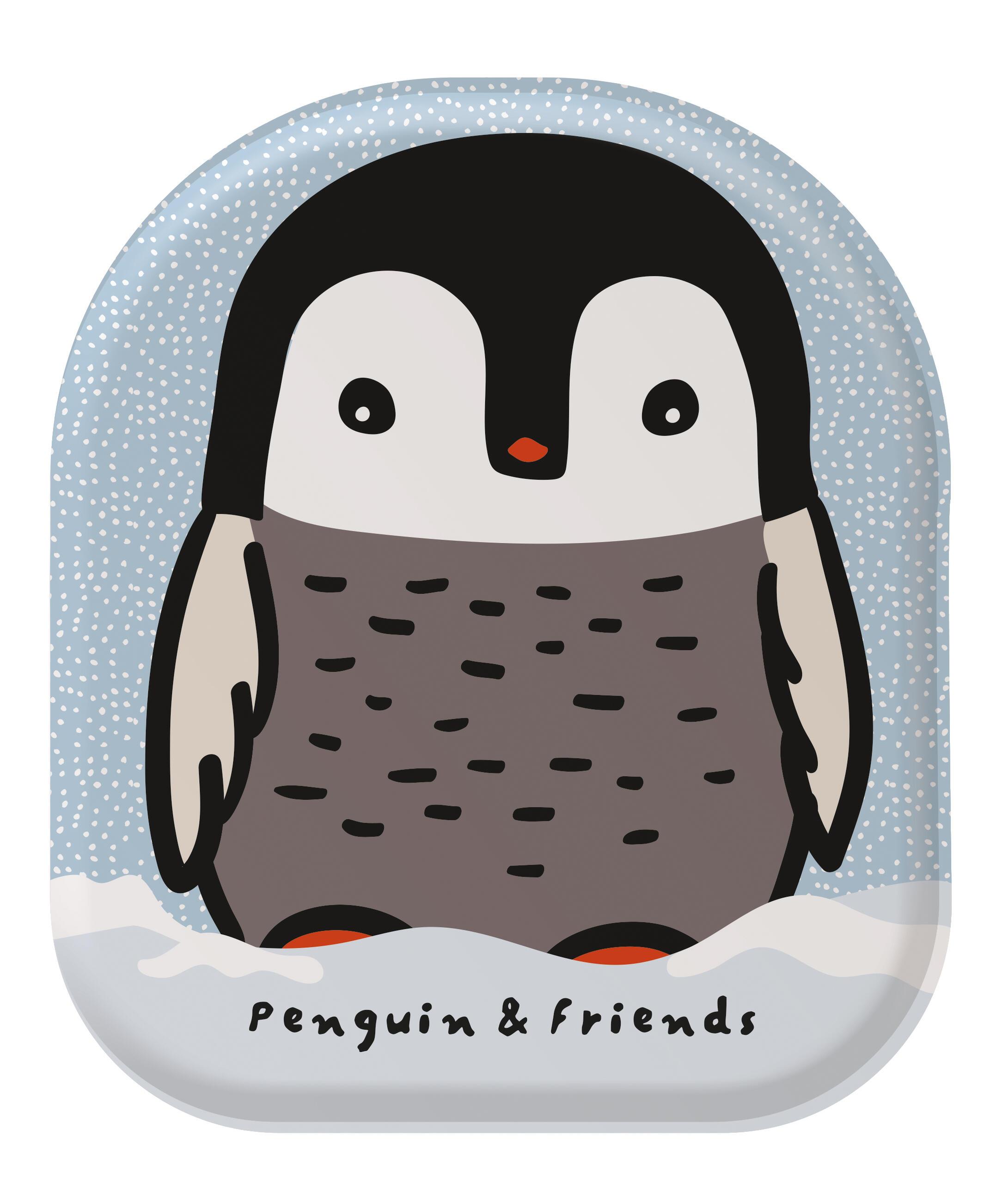 Vorderes Coverbild Penguin & Friends