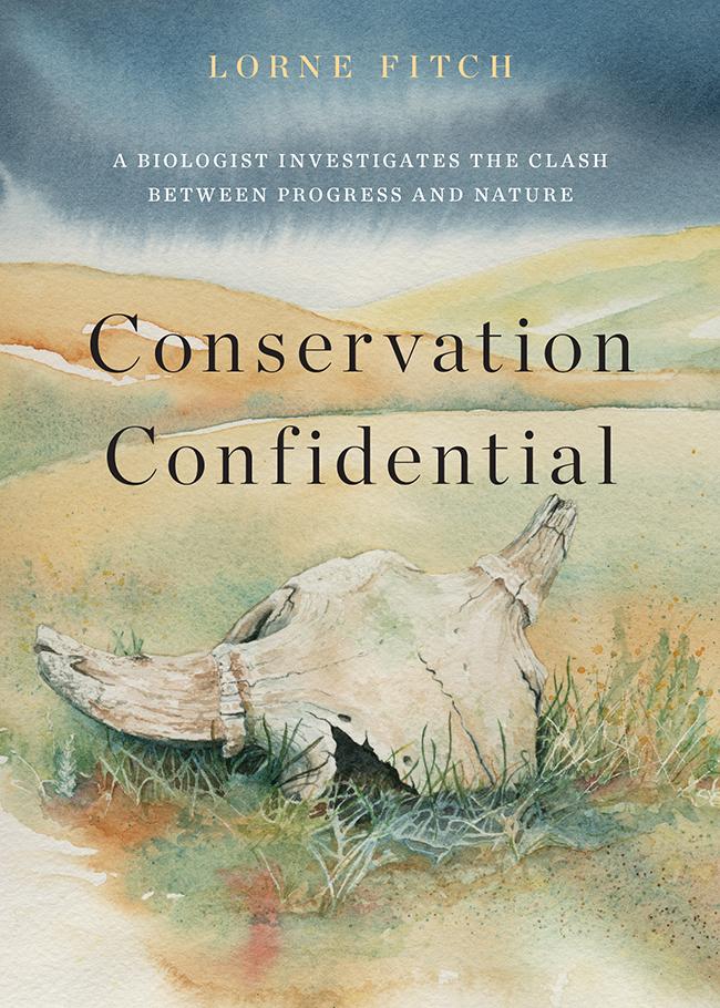 Vorderes Coverbild Conservation Confidential