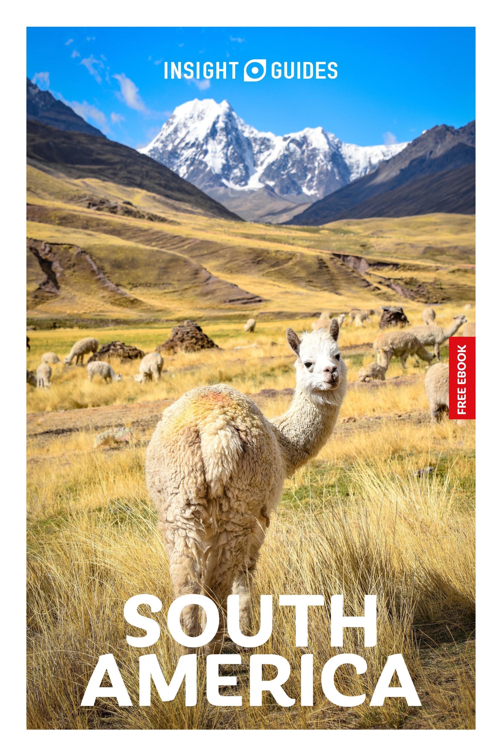 Vorderes Coverbild Insight Guides South America: Travel Guide with eBook