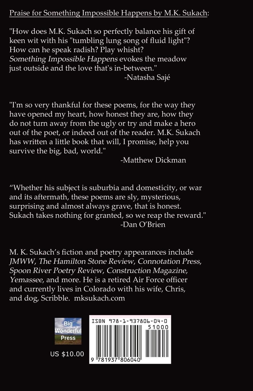 Rückseitencover Something Impossible Happens