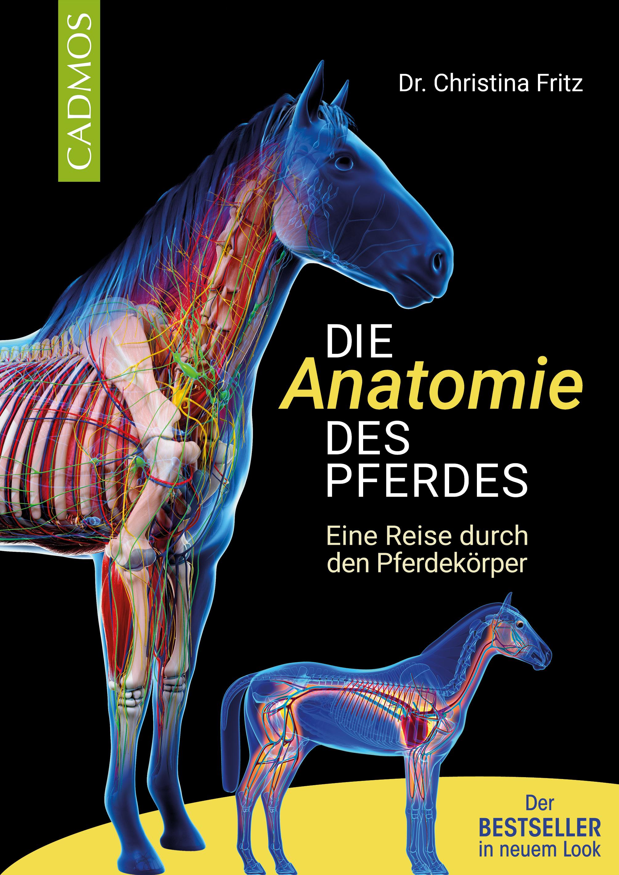 Vorderes Coverbild Die Anatomie des Pferdes