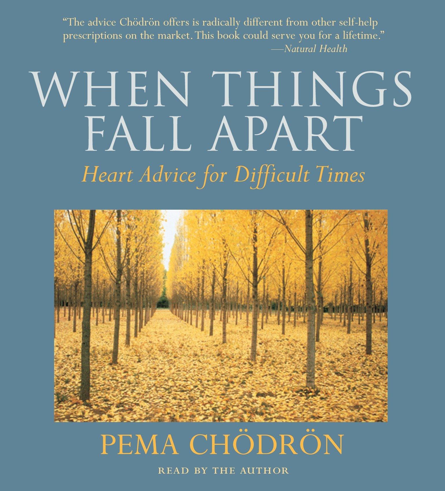 Vorderes Coverbild When Things Fall Apart: Heart Advice for Difficult Times