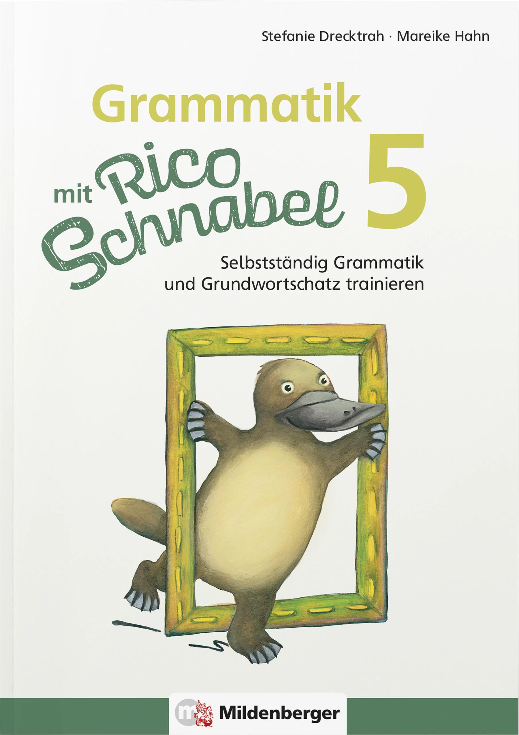 Vorderes Coverbild Grammatik mit Rico Schnabel, Klasse 5
