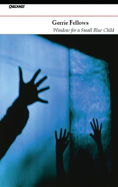 Vorderes Coverbild Window for a Small Blue Child