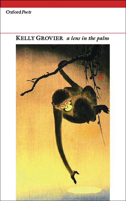 Vorderes Coverbild Lens in the Palm PB