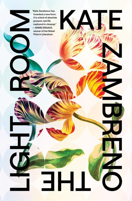Vorderes Coverbild The Light Room