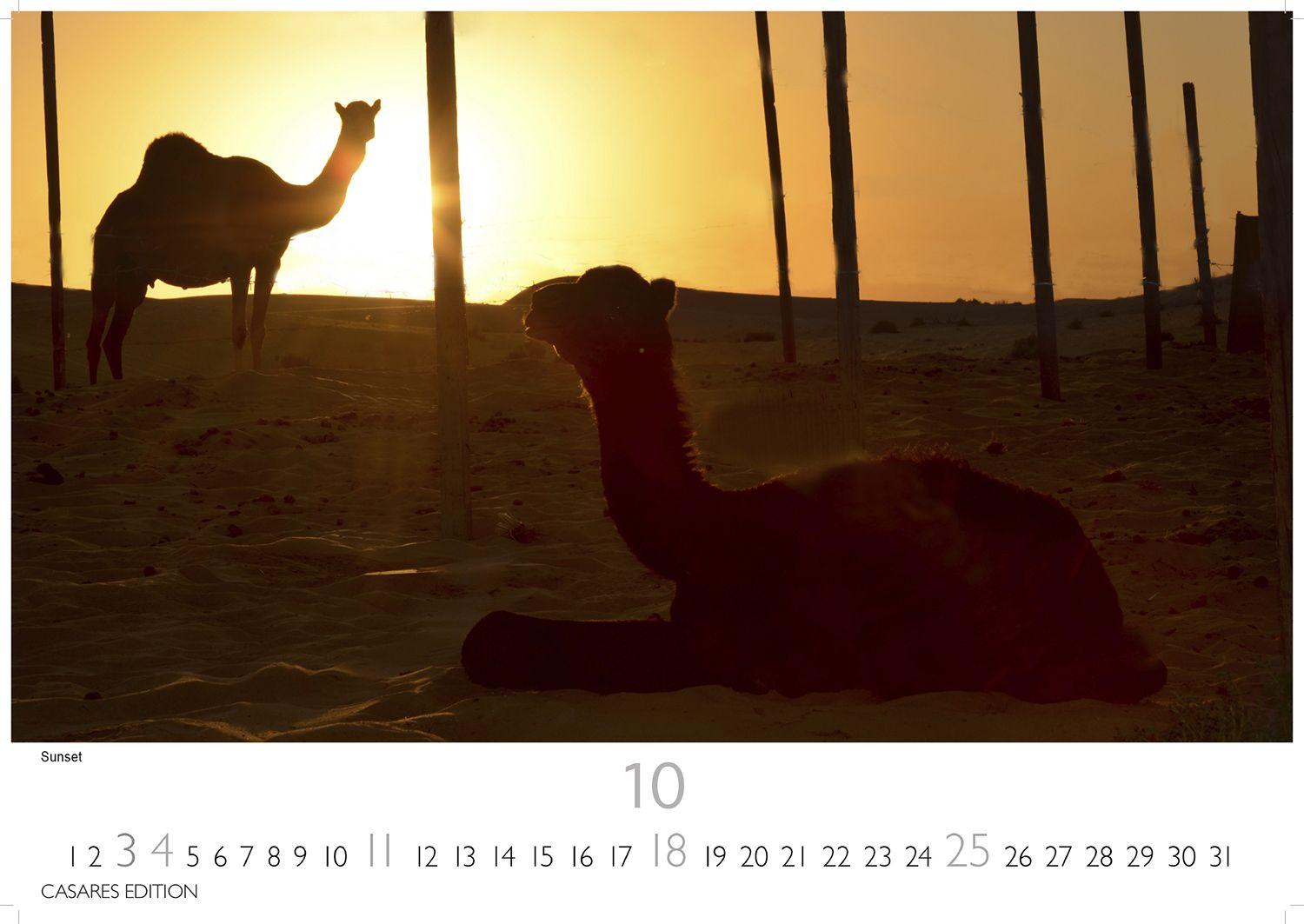 Beispielinhalt (Bild) Dubai/Abu Dhabi Kalender 2026 - Wandkalender | Fotokalender Orient 24x35 cm - . mit atemberaubenden Bildern - Perfekt für Dubai Fans & Reiseliebhaber