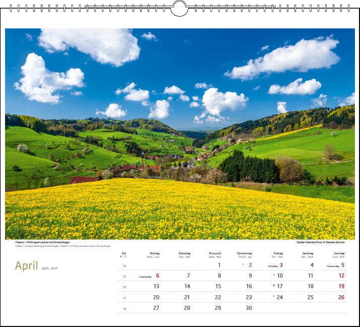 Beispielinhalt (Bild) Schwarzwald 2026