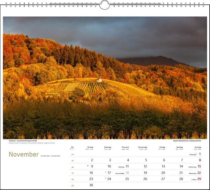 Beispielinhalt (Bild) Schwarzwald 2026