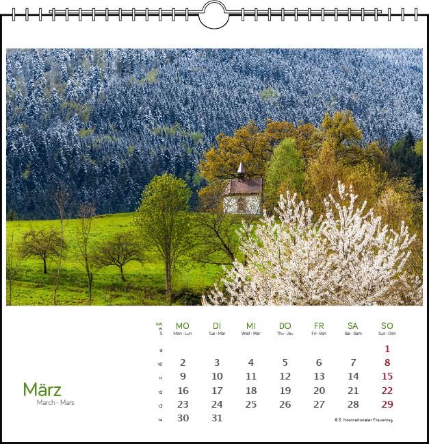 Beispielinhalt (Bild) Schwarzwald 2026