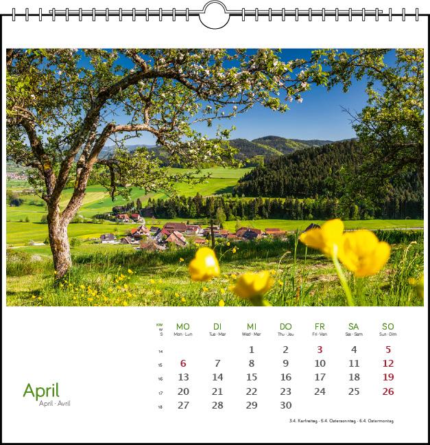 Beispielinhalt (Bild) Schwarzwald 2026