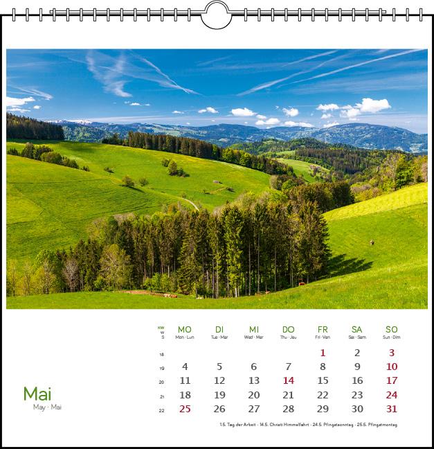 Beispielinhalt (Bild) Schwarzwald 2026