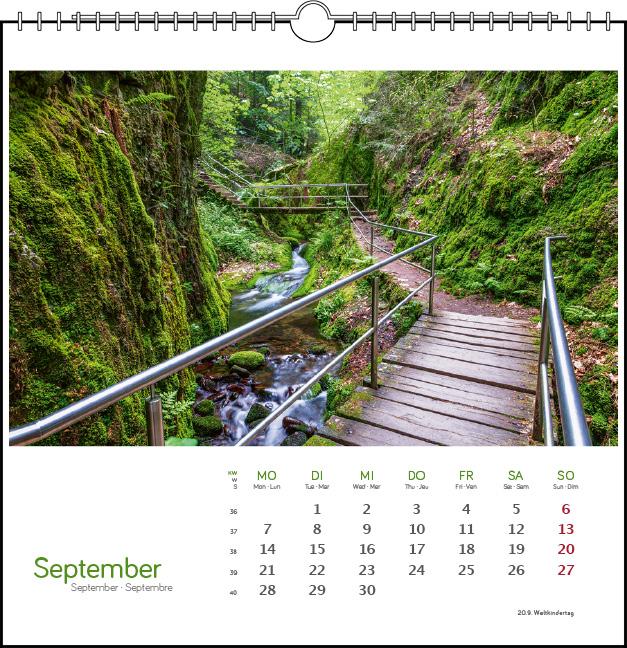 Beispielinhalt (Bild) Schwarzwald 2026