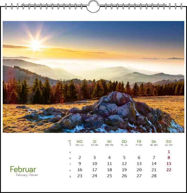 Beispielinhalt (Bild) Schwarzwald 2026