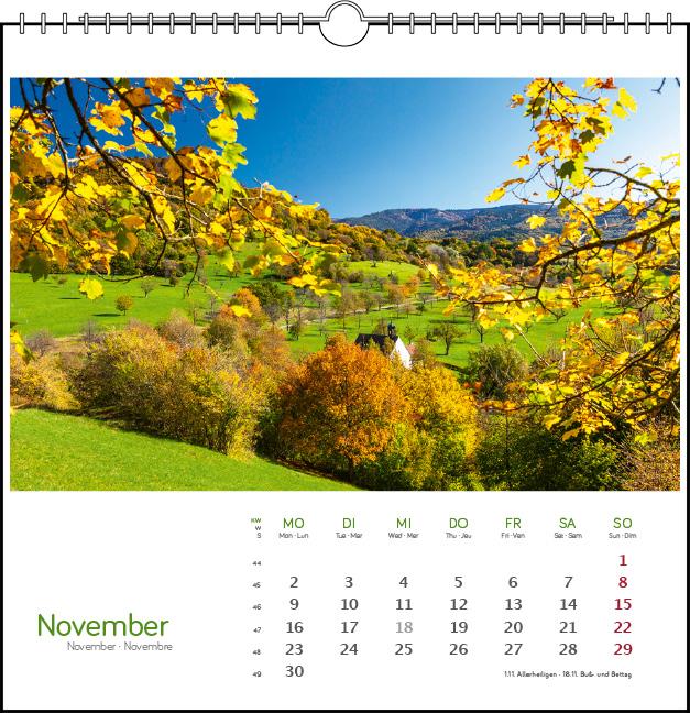 Beispielinhalt (Bild) Schwarzwald 2026