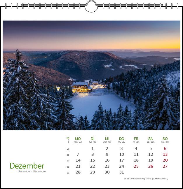 Beispielinhalt (Bild) Schwarzwald 2026