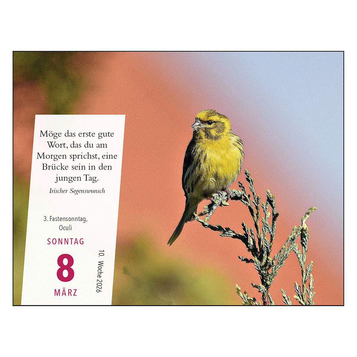 Beispielinhalt (Bild) Bilder für die Seele 2026