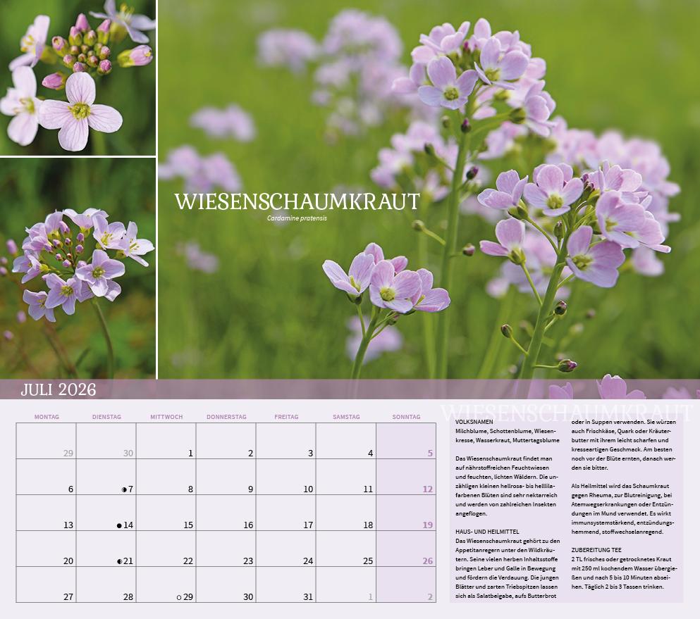 Beispielinhalt (Bild) Heilpflanzen rund um den Bodensee 2026