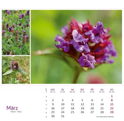 Beispielinhalt (Bild) Heilpfanzen rund um den Bodensee 2026