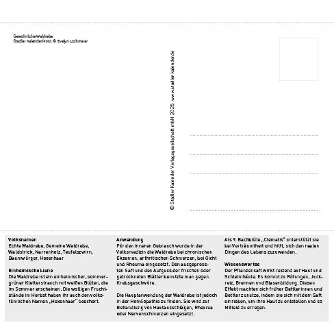 Beispielinhalt (Bild) Heilpfanzen rund um den Bodensee 2026