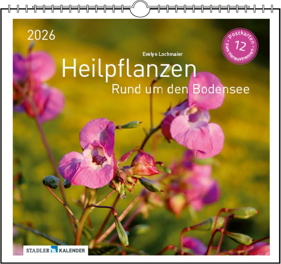 Vorderes Coverbild Heilpfanzen rund um den Bodensee 2026
