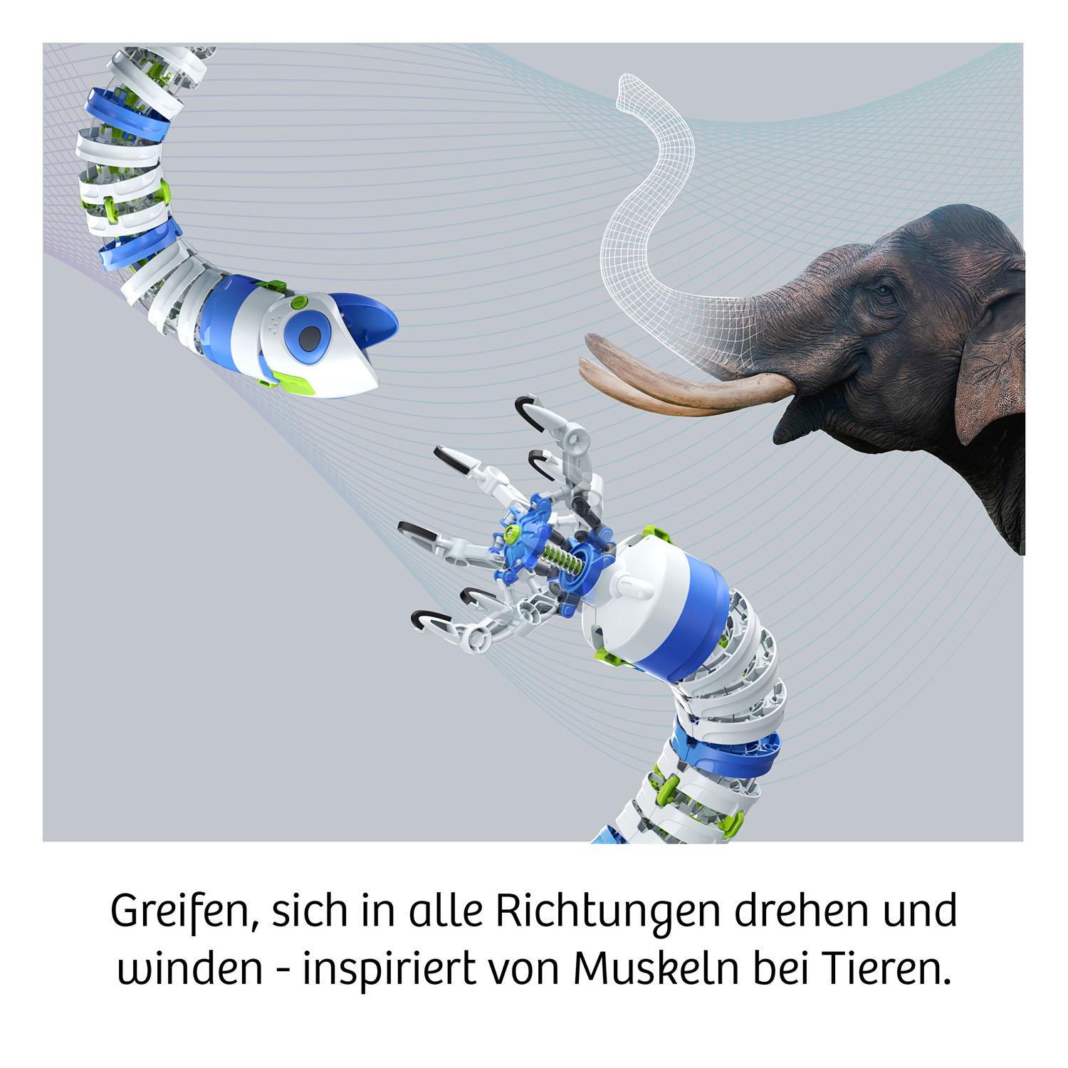 Beispielinhalt (Bild) Bionic Robotic Arm