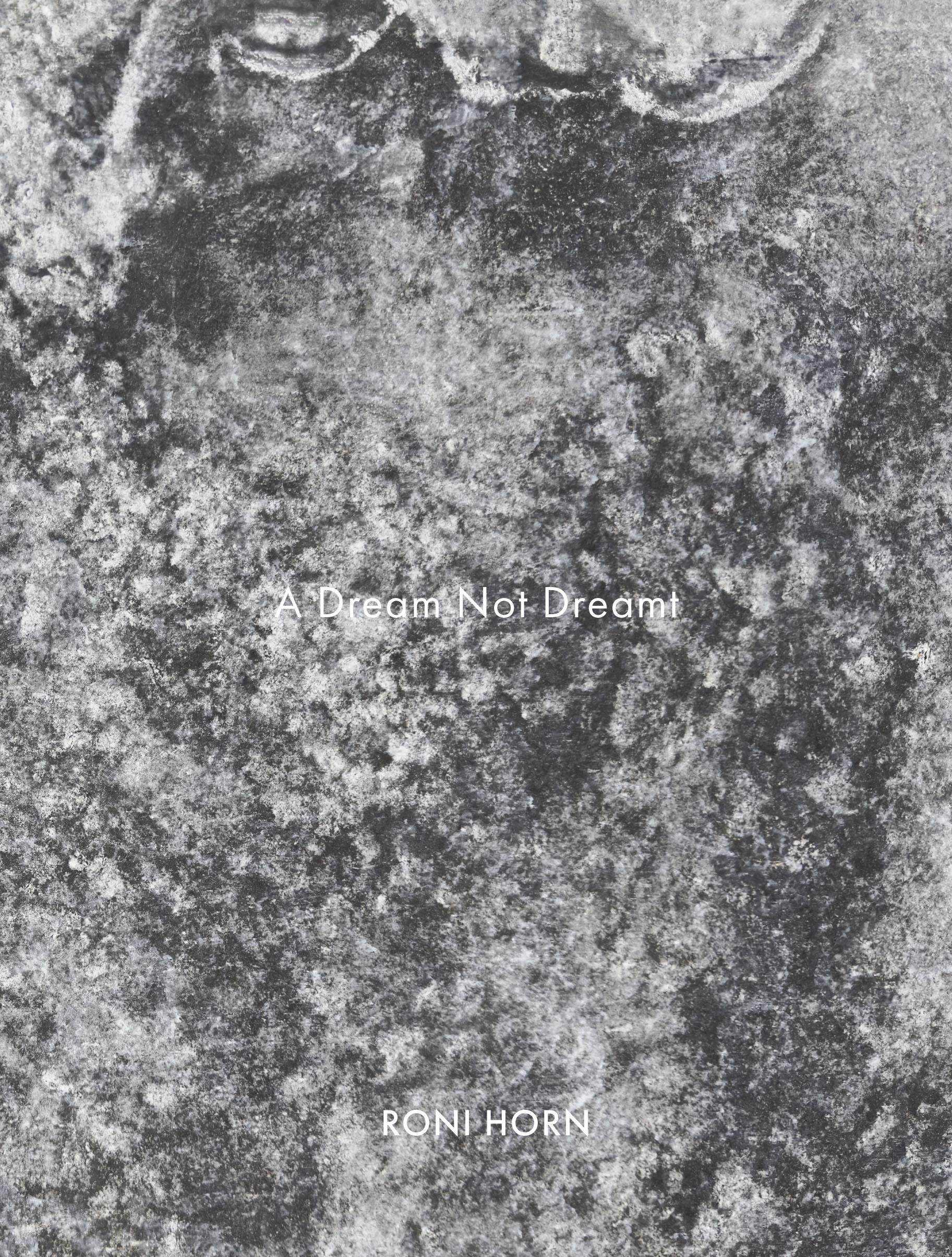 Vorderes Coverbild A Dream Not Dreamt