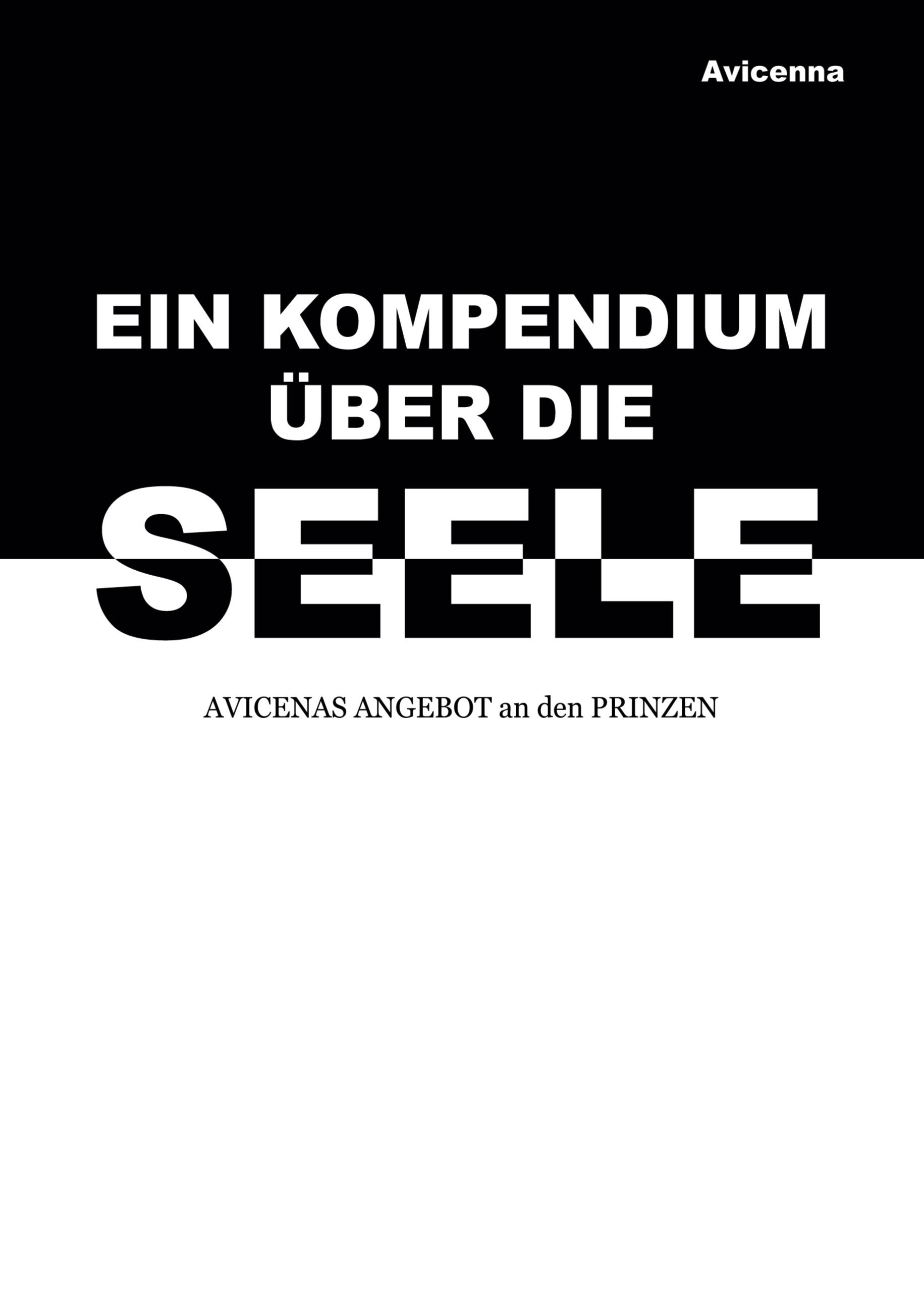 Vorderes Coverbild Ein Kompendium über die Seele