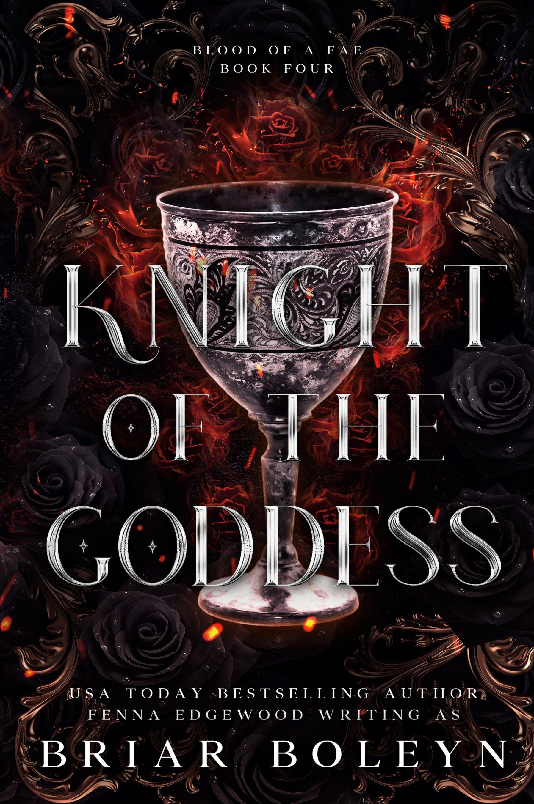 Vorderes Coverbild Knight of the Goddess