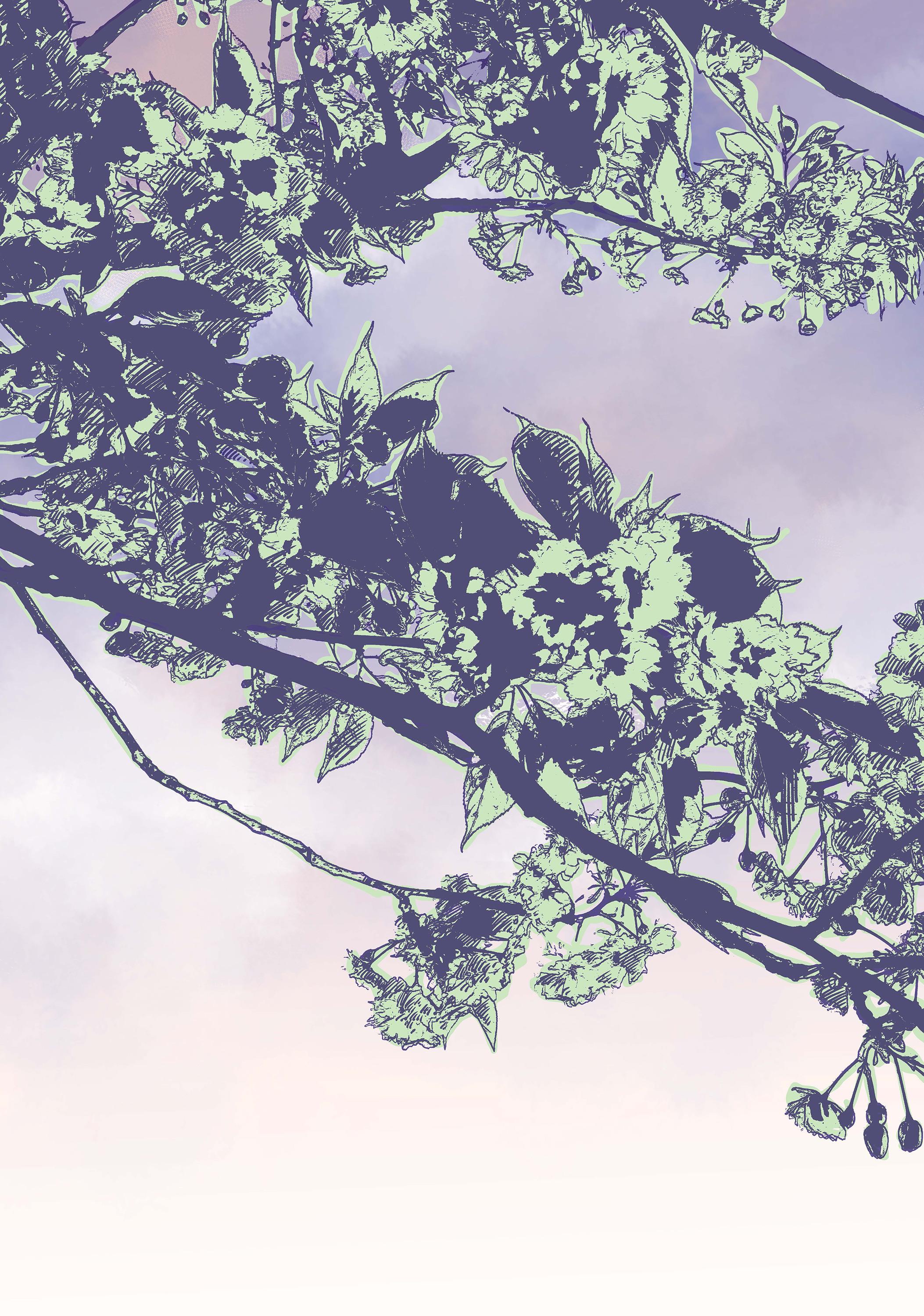 Beispielinhalt (Bild) Die Narben, die uns einen 01