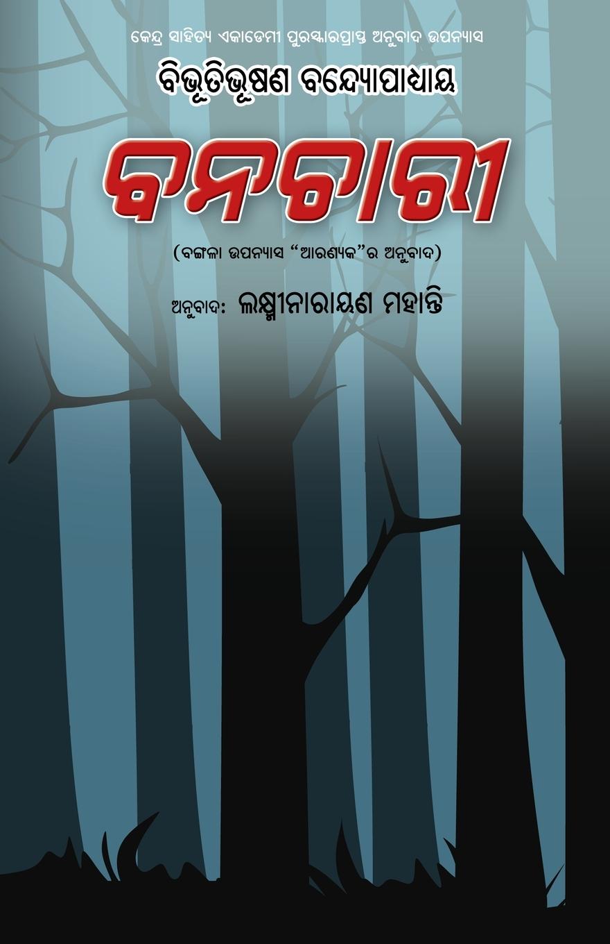 Vorderes Coverbild Banachari